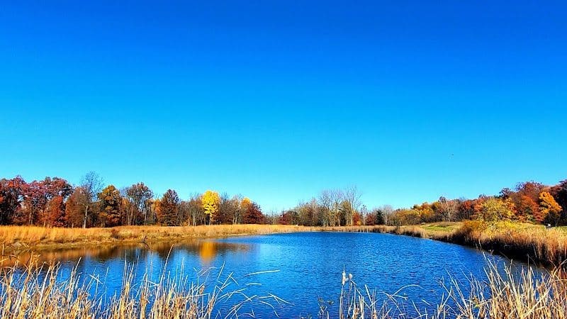 Royal Oaks, Lorain County Metro Parks - Grafton, OH
