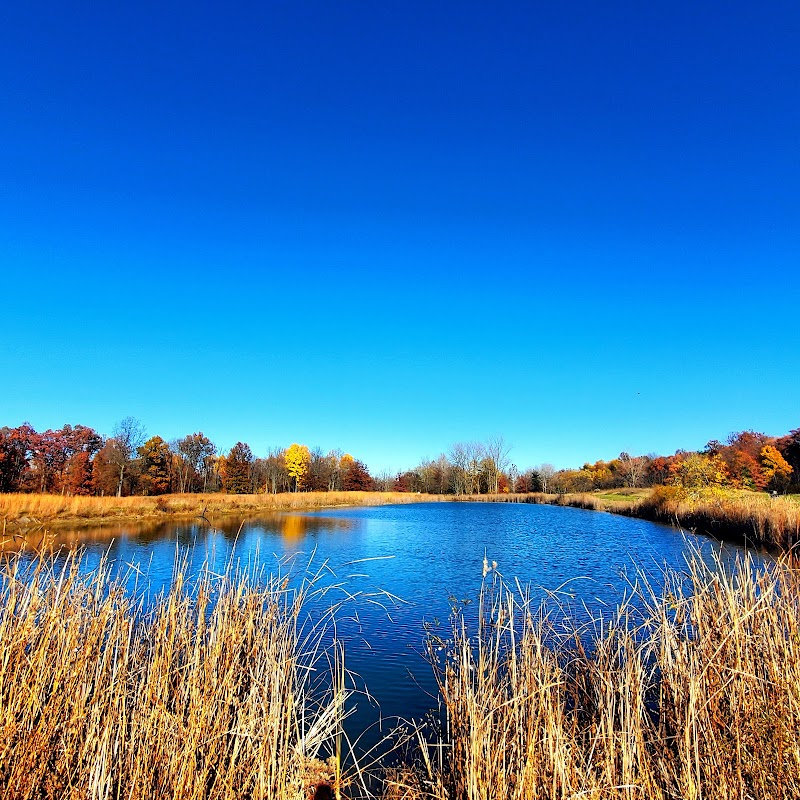 Royal Oaks, Lorain County Metro Parks - Grafton, OH