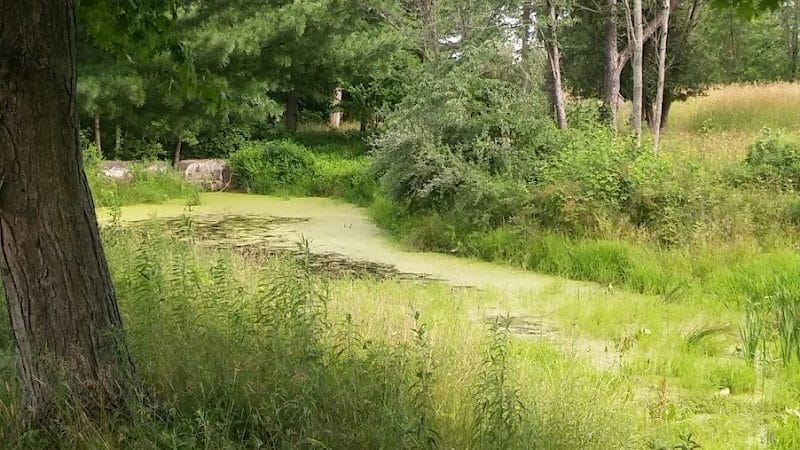 Royal Oaks, Lorain County Metro Parks - Grafton, OH
