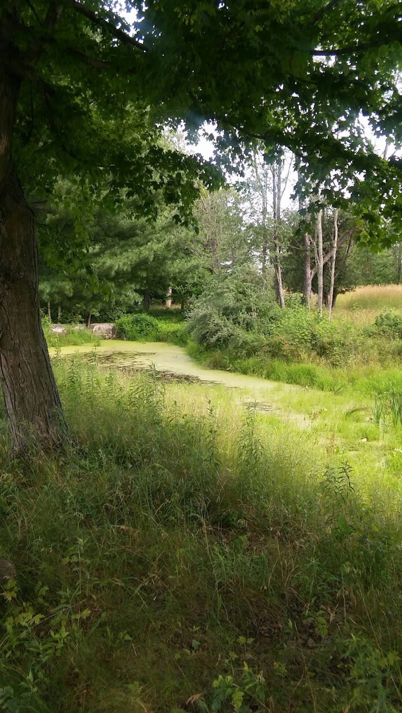 Royal Oaks, Lorain County Metro Parks - Grafton, OH