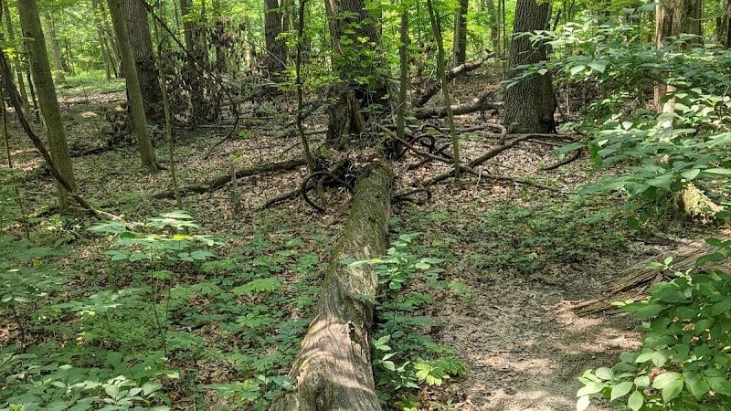 Royal Oaks, Lorain County Metro Parks - Grafton, OH