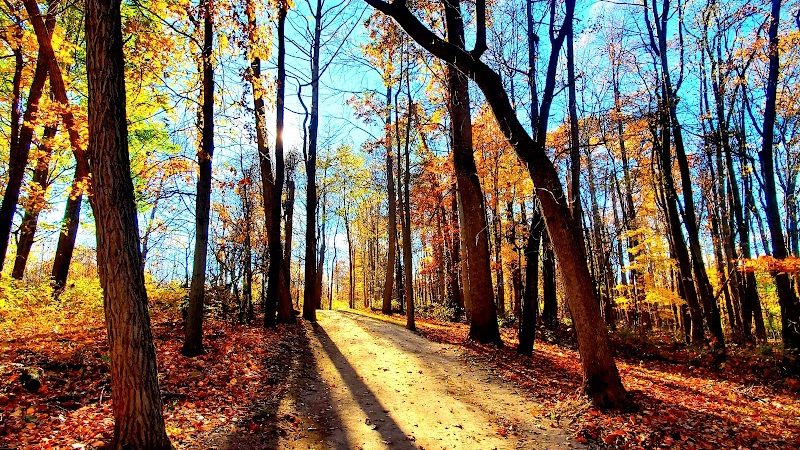 Royal Oaks, Lorain County Metro Parks - Grafton, OH
