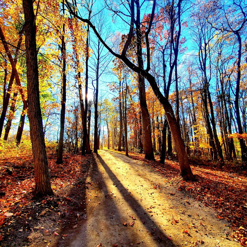 Royal Oaks, Lorain County Metro Parks - Grafton, OH