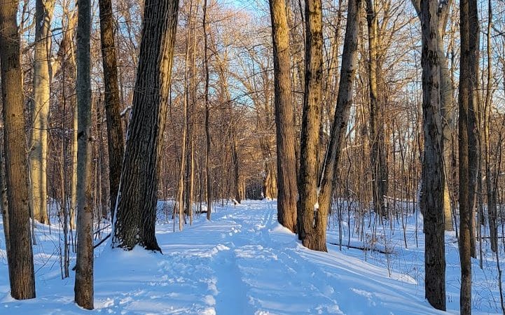 Royal Oaks, Lorain County Metro Parks - Grafton, OH