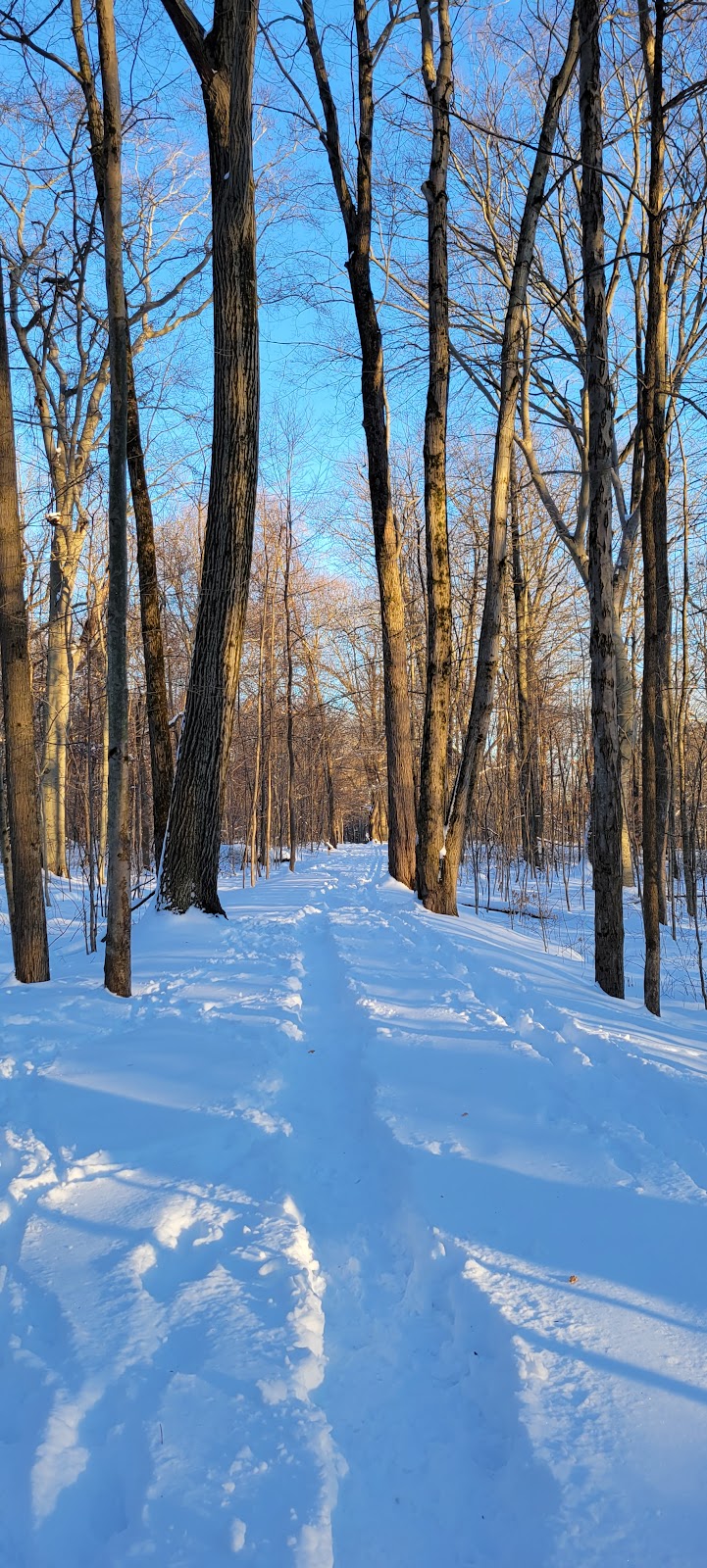 Royal Oaks, Lorain County Metro Parks - Grafton, OH