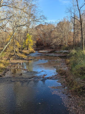 Sheldon Woods