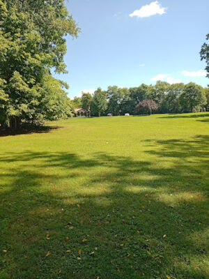 Willow Park