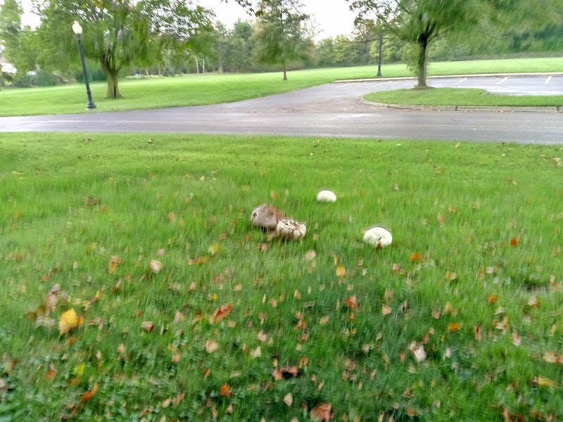 Willow Park - Grafton, OH