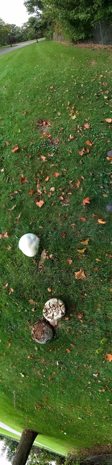 Willow Park - Grafton, OH