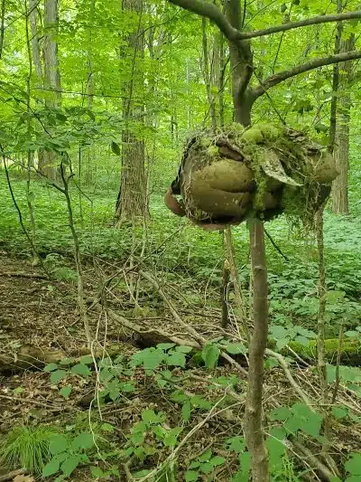 Infirmary Mound Park - Granville, OH
