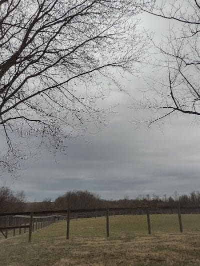 Paws 2 Play Dog Park - Granville, OH