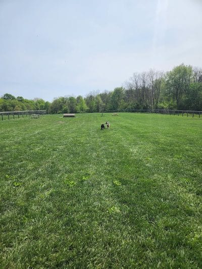 Paws 2 Play Dog Park - Granville, OH