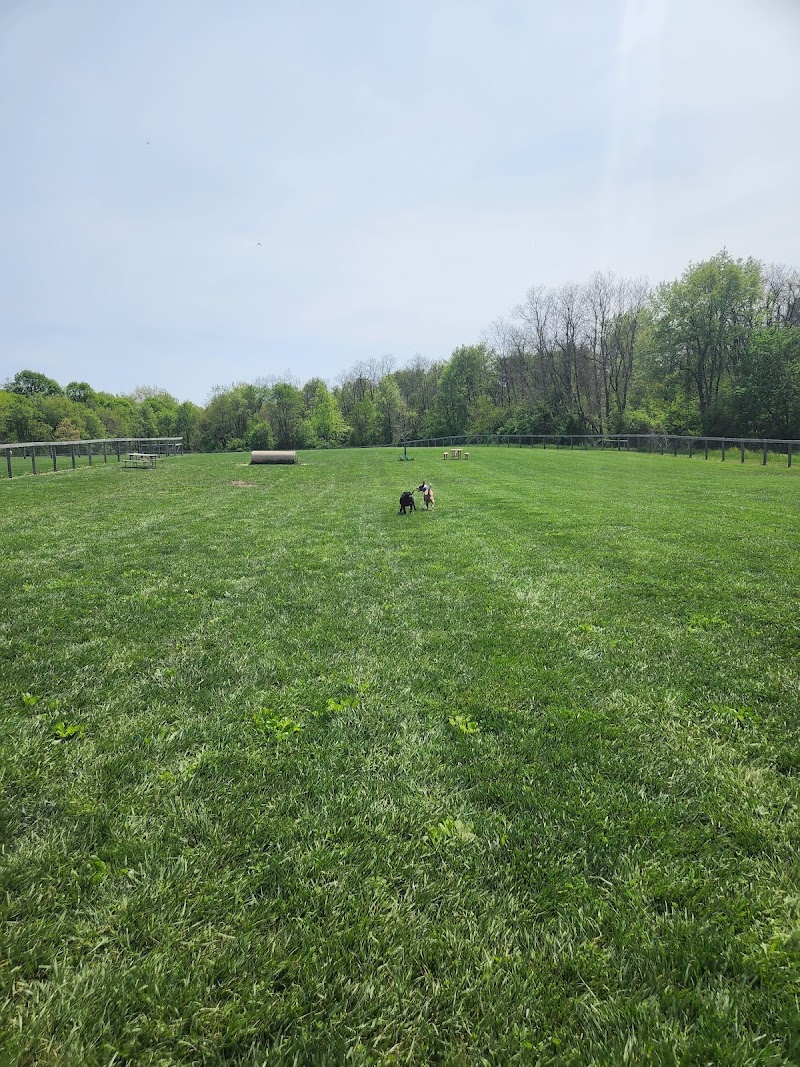 Paws 2 Play Dog Park - Granville, OH