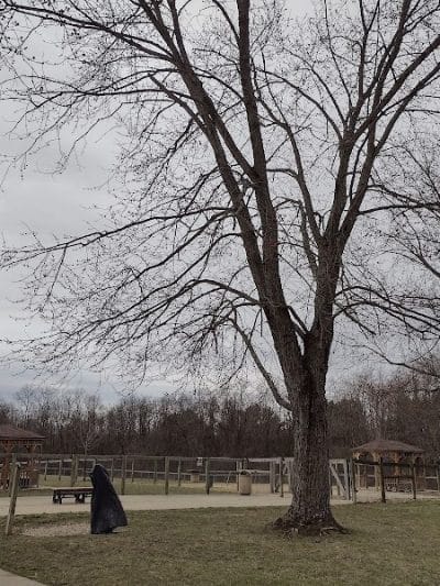Paws 2 Play Dog Park - Granville, OH