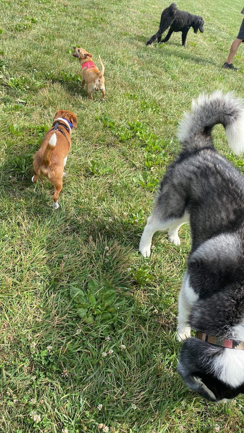Paws 2 Play Dog Park - Granville, OH