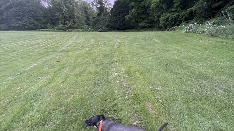 Paws Park - Greenfield, MA