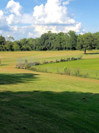 Felson Park - Greenfield, OH