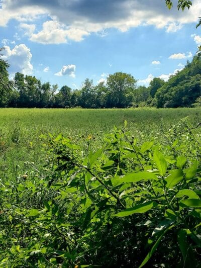 Felson Park - Greenfield, OH