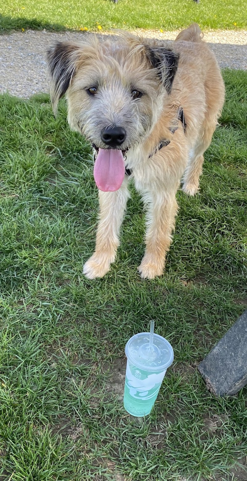 Scentral Dog Park - Greenville, OH