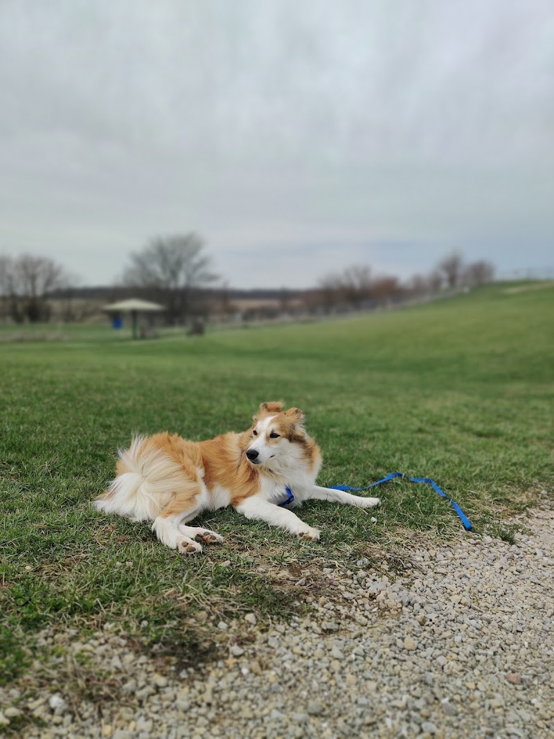 Scentral Dog Park - Greenville, OH