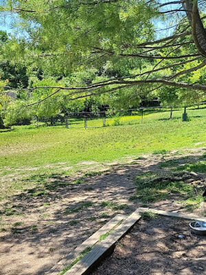 Grass Island Dog Park