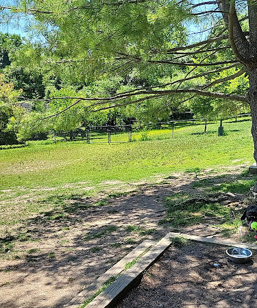 Grass Island Dog Park