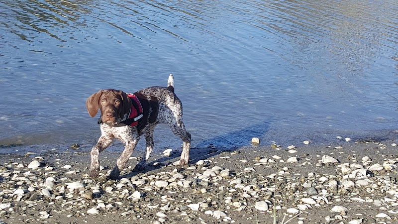 Grass Island Dog Park - Greenwich, CT