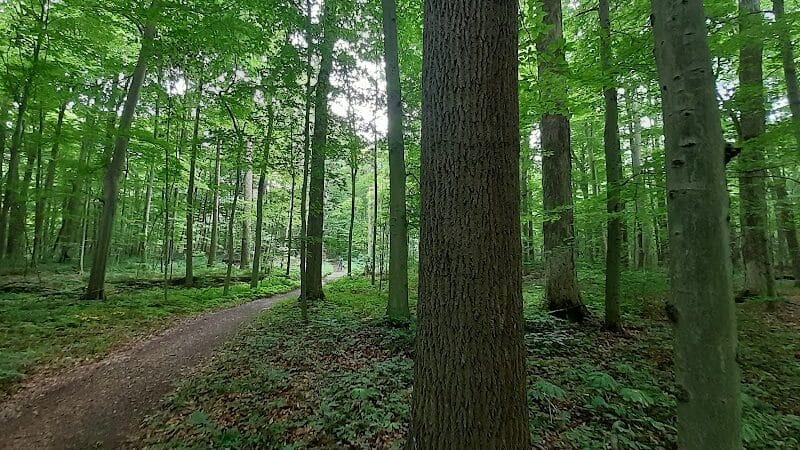 Pine Hill Park - Crall Woods - Greenwich, OH