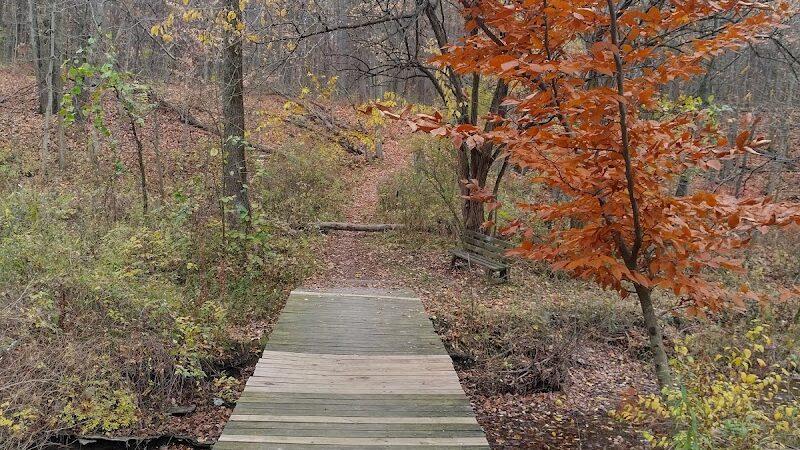 Pine Hill Park - Crall Woods - Greenwich, OH