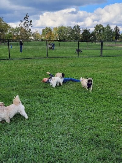 Breck Community Dog Park - Grove City, OH