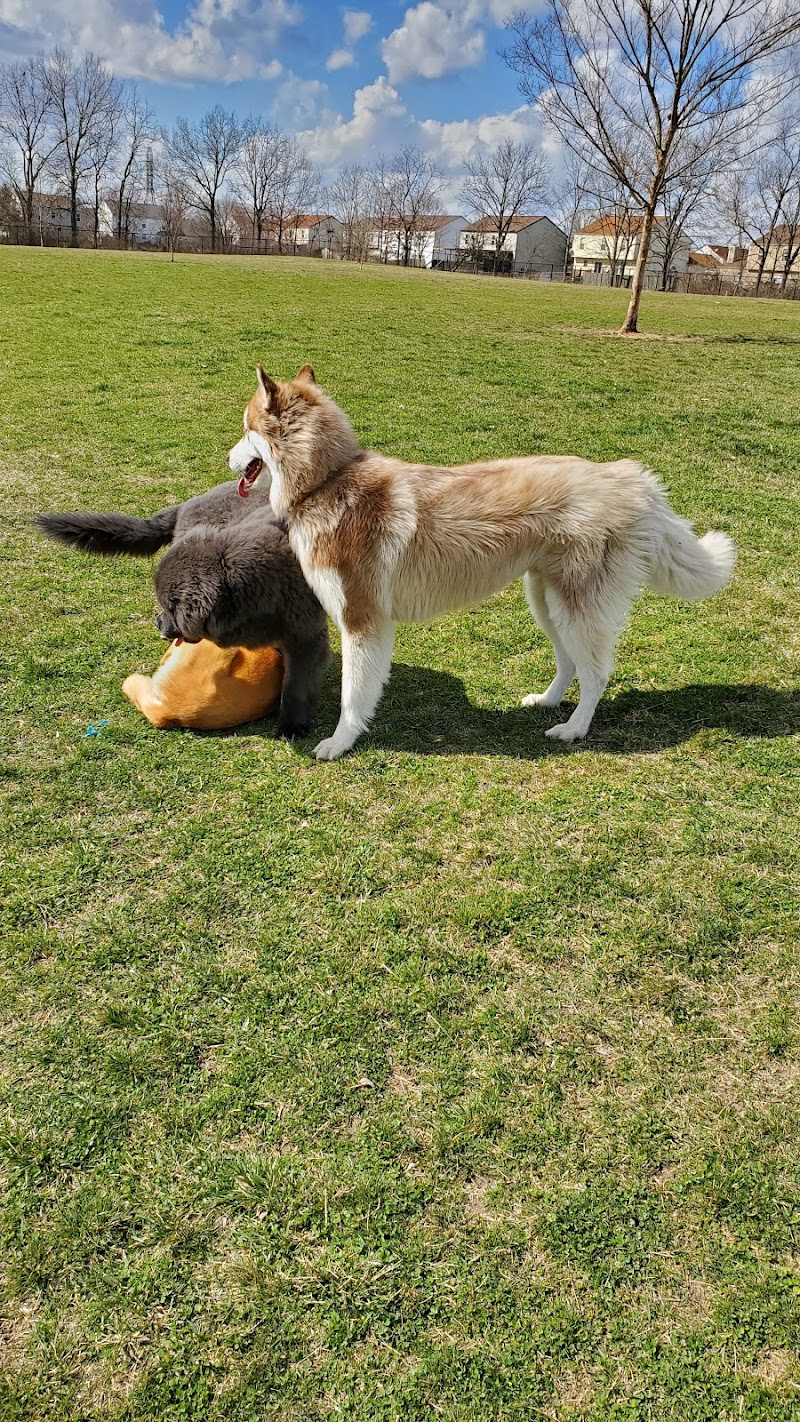 Breck Community Dog Park - Grove City, OH