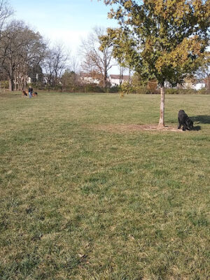 Breck Community Dog Park