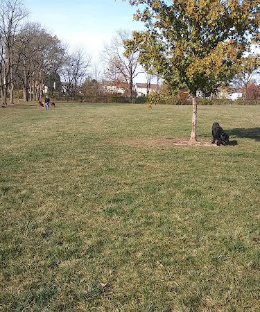 Breck Community Dog Park