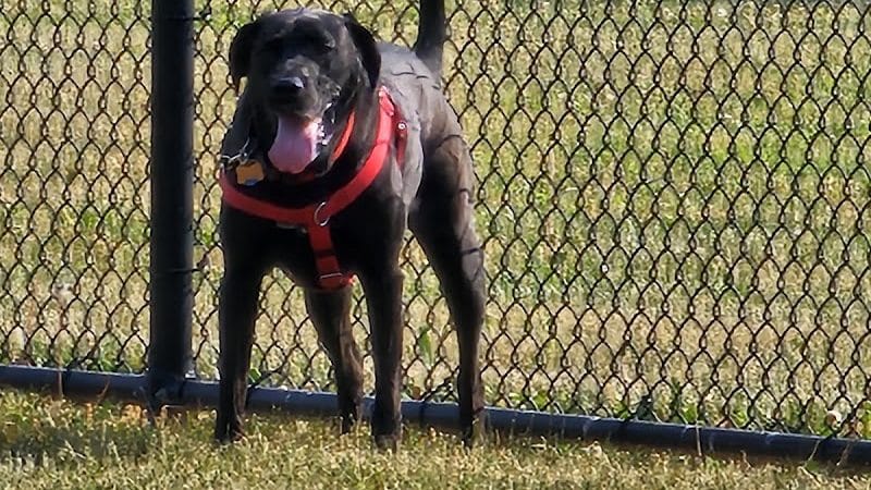 Breck Community Dog Park - Grove City, OH