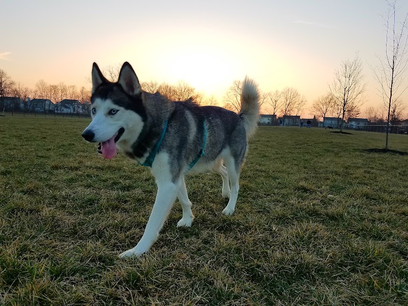 Breck Community Park - City Of Grove City - Grove City, OH