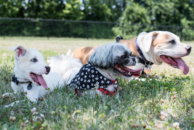 Breck Community Park - City Of Grove City - Grove City, OH