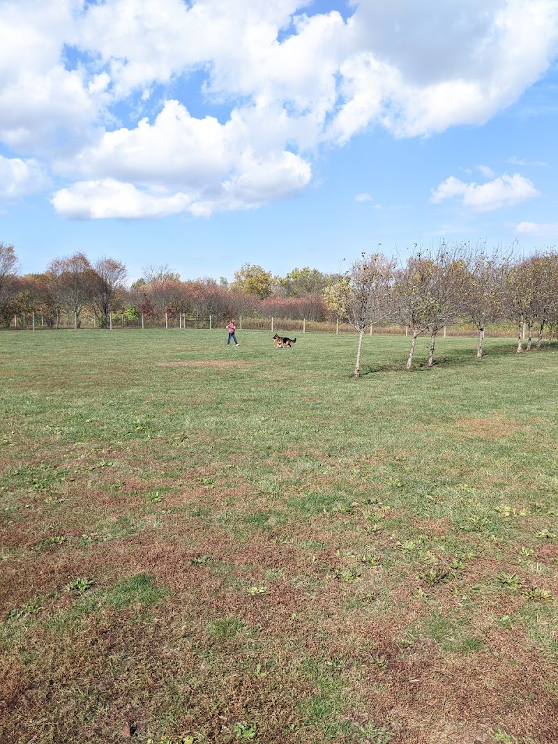 Walnut Woods Dog Park - Groveport, OH
