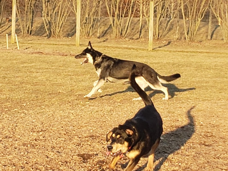 Walnut Woods Dog Park - Groveport, OH