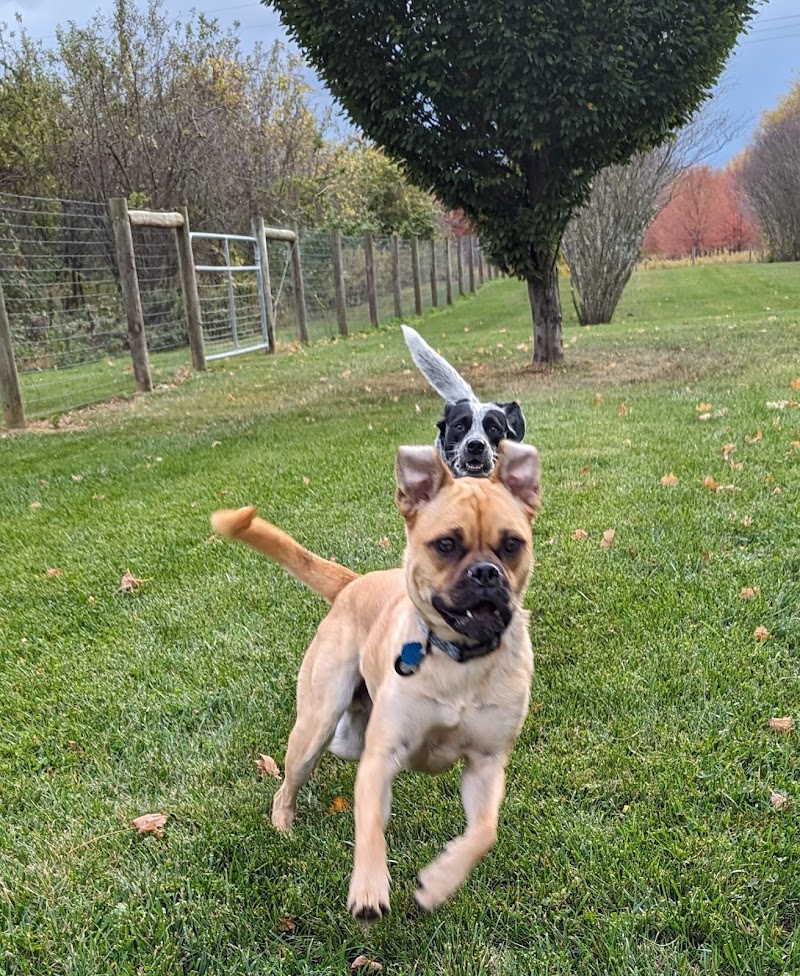 Walnut Woods Dog Park - Groveport, OH