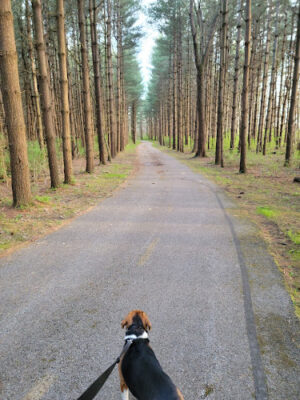 Walnut Woods Metro Park