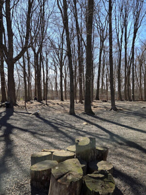 Hamden Dog Park