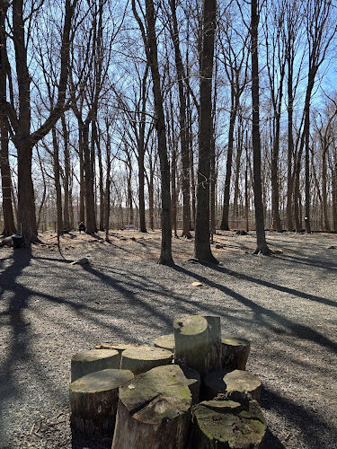 Hamden Dog Park