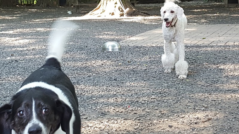 Hamden Dog Park - Hamden, CT