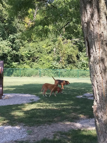 Bark Park