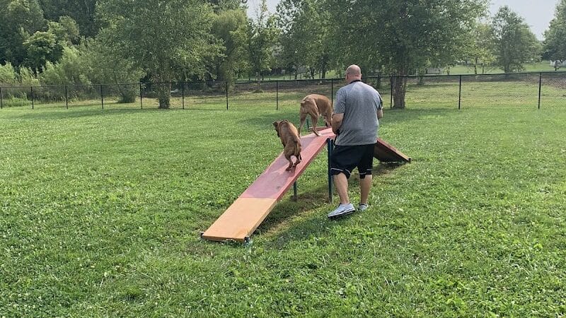 Holly's Dog Park - Hamilton, OH