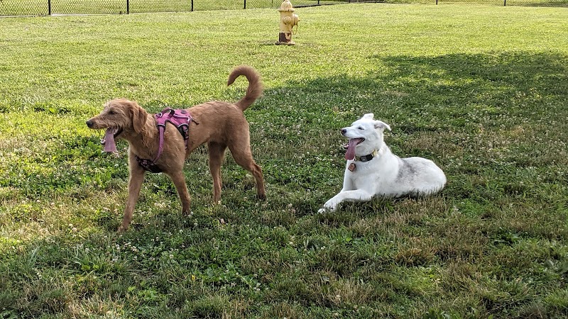 Holly's Dog Park - Hamilton, OH