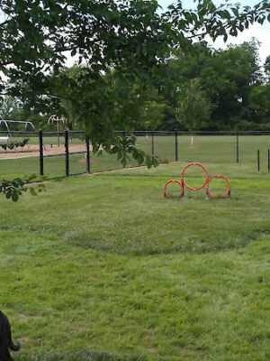 Holly's Dog Park