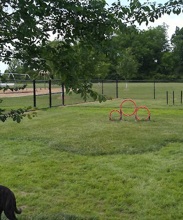 Holly's Dog Park
