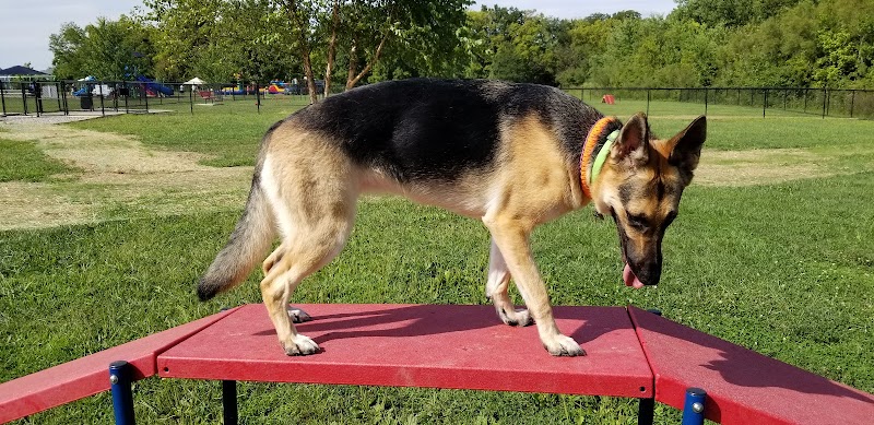 Holly's Dog Park - Hamilton, OH