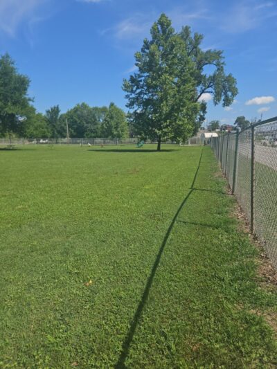 Dempsey Dog Park - Hannibal, MO